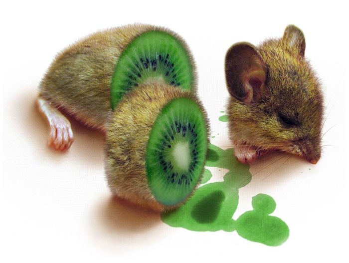 GMO1466496184.jpg GMO1466496184.jpg
